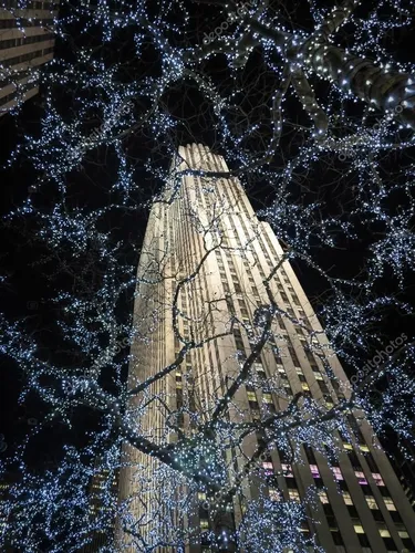 Новогодний Нью Йорк Обои на телефон высокое здание с деревом спереди