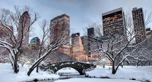 Новогодний Нью Йорк Обои на телефон мост со снегом и деревьями