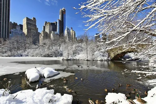 Новогодний Нью Йорк Обои на телефон река со снегом на берегах и деревьями по бокам