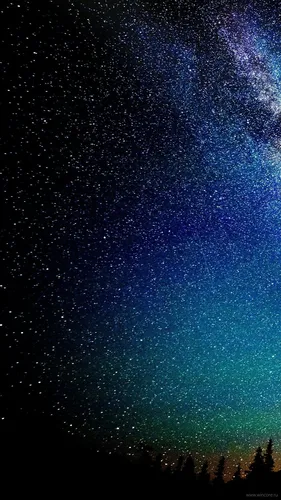 Ночное Небо Обои на телефон звездное ночное небо с деревьями