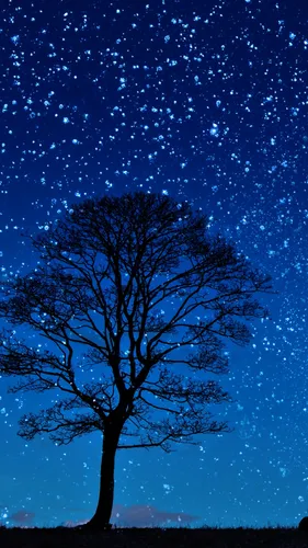 Ночное Небо Обои на телефон дерево со звездами в небе