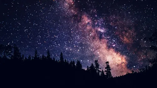 Ночное Небо Обои на телефон красочное небо с деревьями