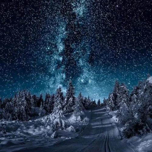 Ночное Небо Обои на телефон заснеженная дорога с деревьями по обе стороны