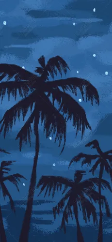 Ночное Небо Обои на телефон группа пальм