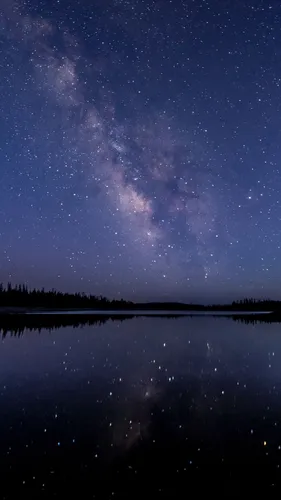 Ночное Небо Обои на телефон водоем с деревьями и звездами на небе