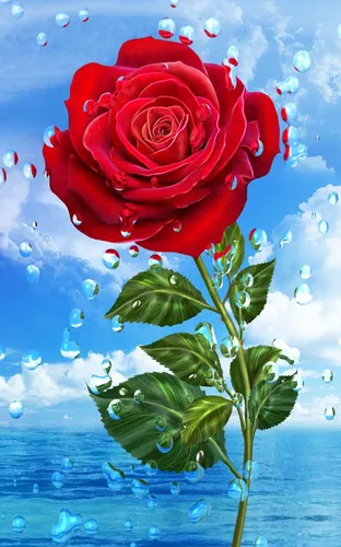 Обалденные Обои на телефон красная роза с каплями воды