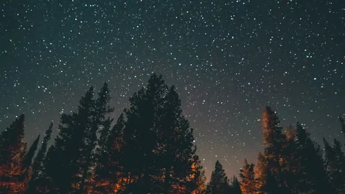 4K Ultra Hd Обои на телефон лес деревьев со звездами в небе