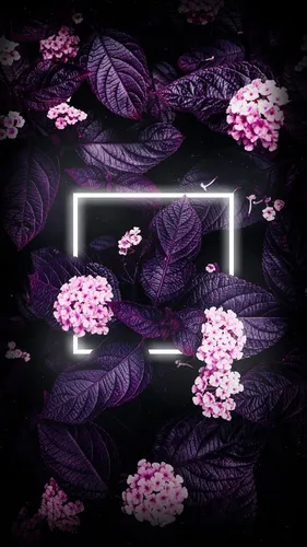 И Картинки