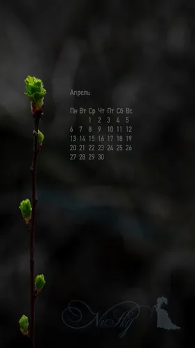 Календарь 2020 Обои на телефон крупный план некоторых растений