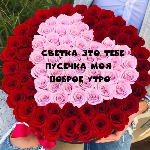 240Х320 Цветы Обои на телефон торт с розовыми розами