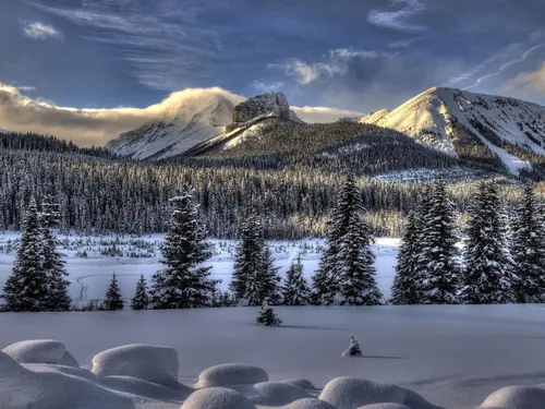 Андроид Зима Обои на телефон снежный пейзаж с деревьями и горами