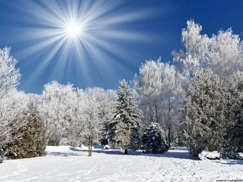 Андроид Зима Обои на телефон снежный пейзаж с деревьями и солнцем в небе