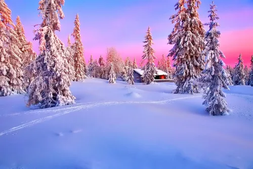 Андроид Зима Обои на телефон снежный пейзаж с деревьями и домиком вдалеке