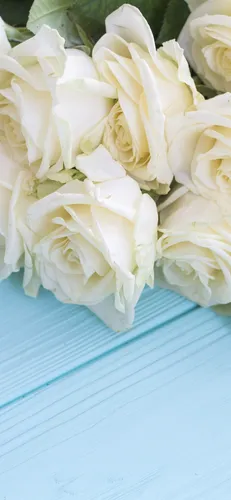 Белые Розы Обои на телефон группа белых цветов