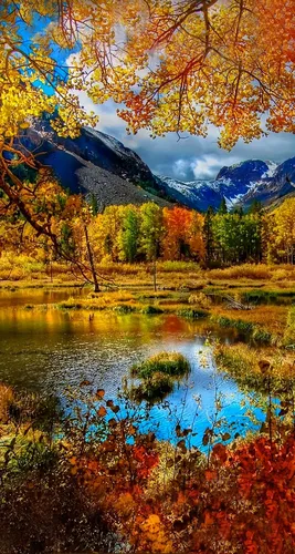 Бесплатно Природа Обои на телефон озеро, окруженное деревьями и горами