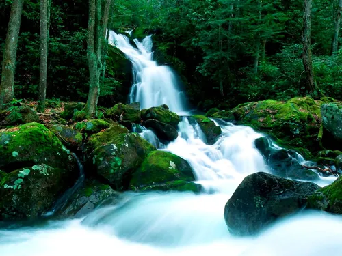 Бесплатно Природа Обои на телефон поток воды, протекающий через скалы