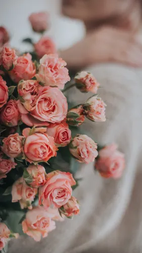 Бесплатно Цветы Обои на телефон букет розовых роз