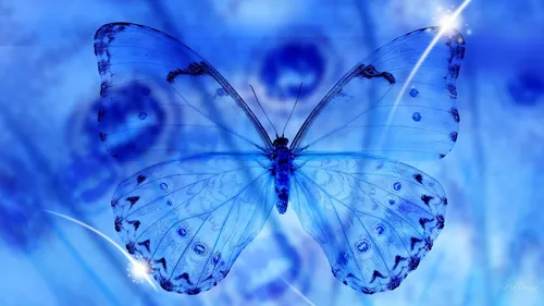 В Голубых Тонах Обои на телефон голубая бабочка с черными пятнами