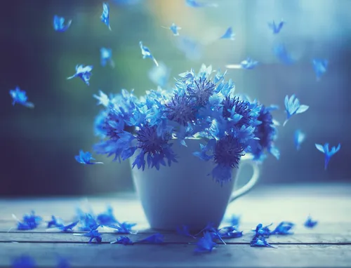 Васильки Обои на телефон ваза с голубыми цветами