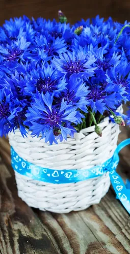 Васильки Обои на телефон корзина синих цветов