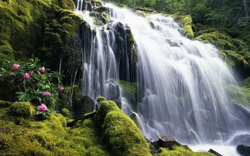 Водопад Горы Обои на телефон для телефона