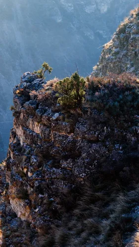 Дагестан Обои на телефон скалистая местность с растущими на ней растениями