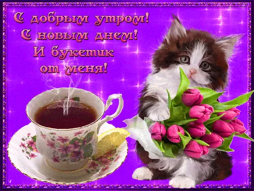 кошка с цветком и чашкой чая