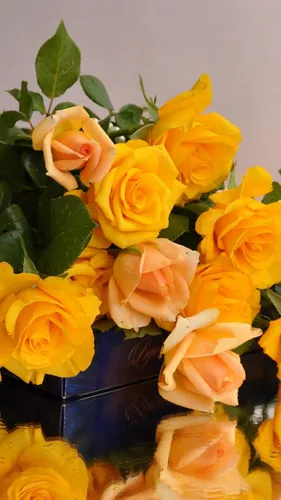 Желтые Цветы Обои на телефон букет желтых и оранжевых цветов