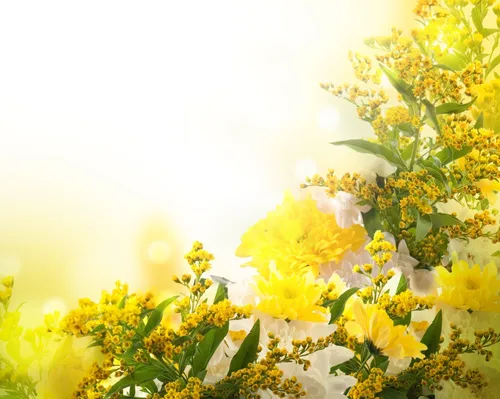 Желтые Цветы Обои на телефон букет желтых цветов
