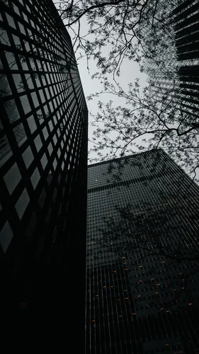 Здания Обои на телефон высокое здание с множеством окон