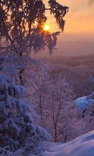 Зимний Пейзаж Обои на телефон снежный пейзаж с деревьями и закатом