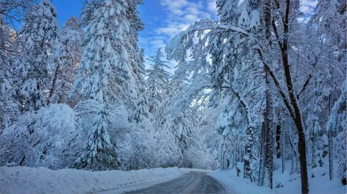 Зимний Пейзаж Обои на телефон дорога со снегом на обочине