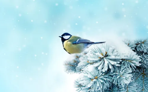 Зимний Пейзаж Обои на телефон птица, сидящая на ветке