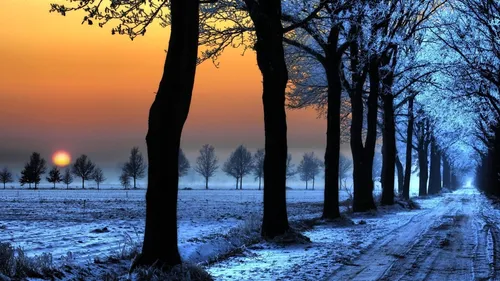 Зимний Пейзаж Обои на телефон фотография