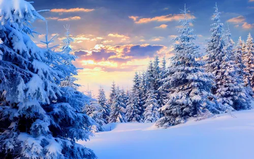 Зимний Пейзаж Обои на телефон снежный пейзаж с деревьями
