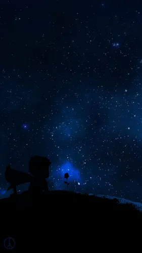 Маленький Принц Обои на телефон человек, сидящий на скале и смотрящий на звездное небо