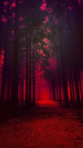 Мистика Обои на телефон лес деревьев с красными огнями