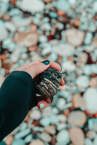 Морские Камни Обои на телефон рука, держащая сосновую шишку