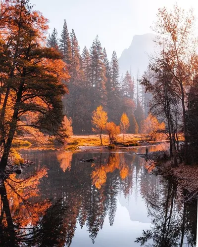 Ноябрь Обои на телефон озеро, окруженное деревьями и горами