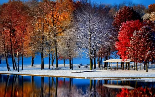 Ноябрь Обои на телефон озеро, окруженное деревьями