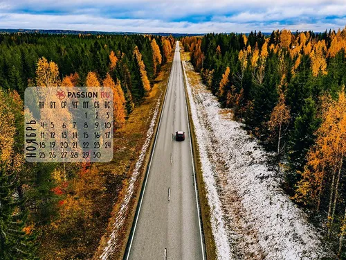 Ноябрь Обои на телефон автомобиль, движущийся по дороге, окруженной деревьями и табличкой