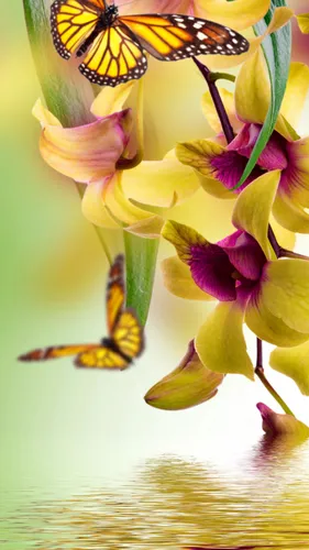 Орхидеи Обои на телефон группа бабочек на цветке