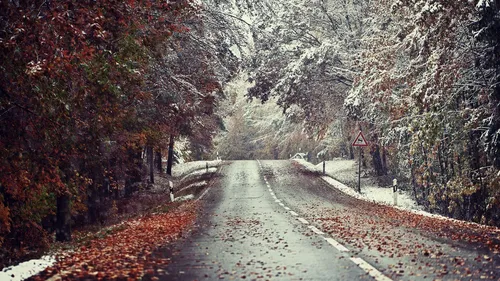 Осень Зима Обои на телефон дорога с деревьями по обе стороны