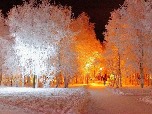 Осень Зима Обои на телефон человек, идущий по заснеженной дороге с деревьями по обе стороны