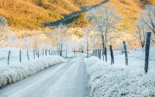 Осень Зима Обои на телефон дорога со снегом на обочине