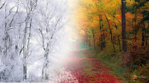 Осень Зима Обои на телефон изображение