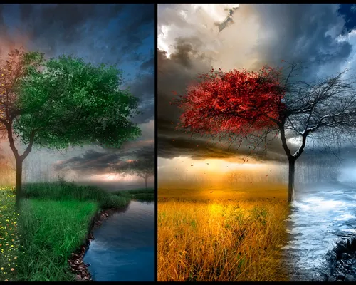 Осень Зима Обои на телефон река с деревьями и травой