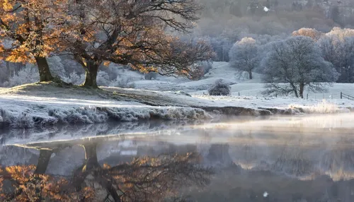 Осень Зима Обои на телефон пруд со снегом на земле