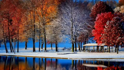 Осень Зима Обои на телефон озеро с деревьями вокруг него