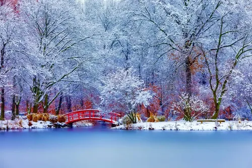 Осень Зима Обои на телефон красный мост над водой